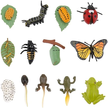 3 комплекта фигурки на насекоми жизнен цикъл на пеперуда жаба калинка сафариология цикъл на растеж модел образование играчка