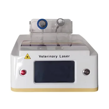 980Nm лазерно отстраняване на болката при животните Лазер за отстраняване на болката 980Nm оборудване за красота за продажба