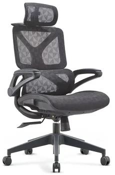 Office Modern Simple Lunch Break Boss Office Chair Long-Sitting Home Reclining Dual-Use Ergonomic Chair