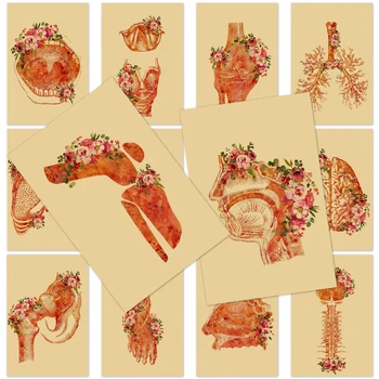 Скелет Органи Цветя Плакат Стена Мозъчно изкуство Човешка анатомия Снимки Мускулна система Медицинска клиника Декор Крафт хартия Живопис